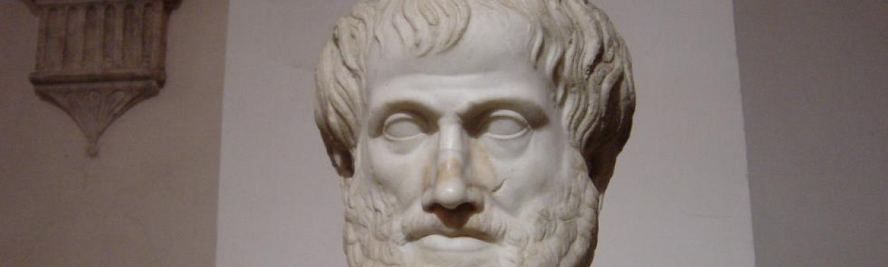 Aristotle, photo by Giovanni Dall Orto