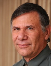 Gadi Wolfsfeld
